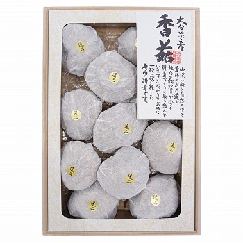 啪ő_Ƌg 啪Yő () i (IP-50)